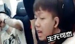 菠萝哥哥爆料视频大全集,揭秘娱乐圈幕后真相